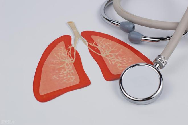 别超过这个量既不用戒烟肺也能舒服些!j9九游会入口首页一天的吸烟数最好(图2) 别超过这个量既不用戒烟肺也能舒服些!j9九游会入口首页一天的吸烟数最好(图2)