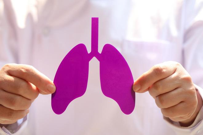 别超过这个量既不用戒烟肺也能舒服些!j9九游会入口首页一天的吸烟数最好(图11) 别超过这个量既不用戒烟肺也能舒服些!j9九游会入口首页一天的吸烟数最好(图11)